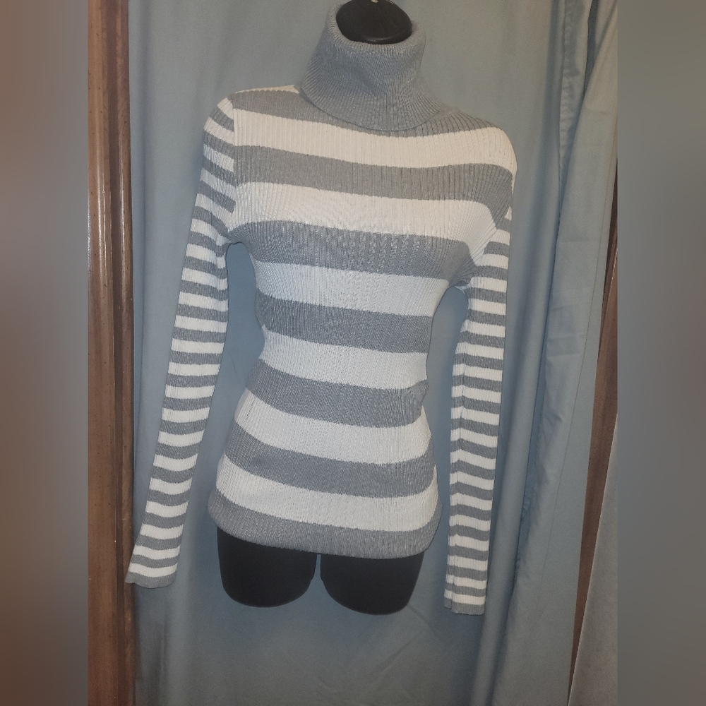 Gray and white striped turtleneck sweater.